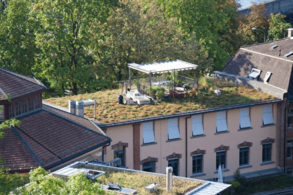 View of Inspiring Green Roof Design Ideas || Politz Enterprises Roofing