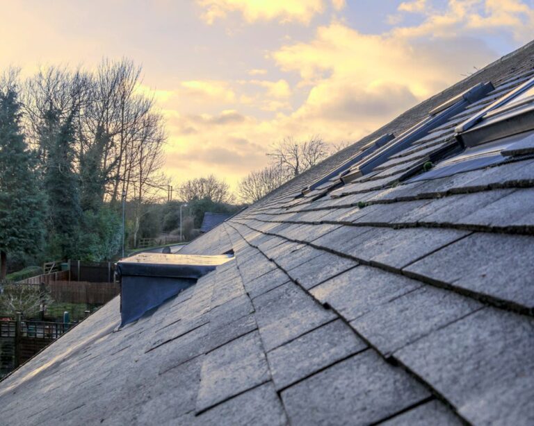 What is Causing Streaking and Discoloration on My Roof?